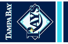 tampa_bay_rays_outdoor_flag_23071sma